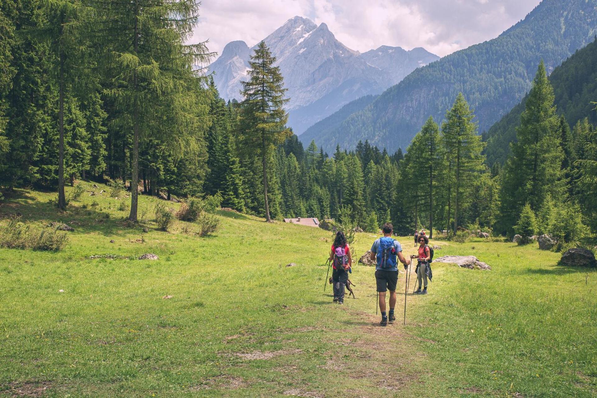 B&B Cesa Planber Mountain View Bike Friendly Canazei Εξωτερικό φωτογραφία